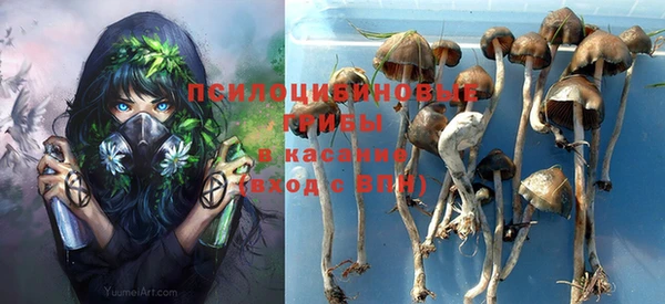 герыч Алексин