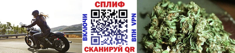 Купить  Печоры  Канабис индика 
